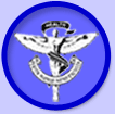 Chiropractor Buffalo NY