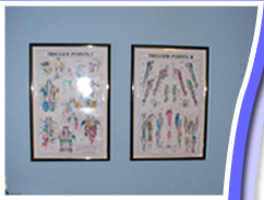 Chiropractic Diagrams